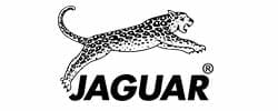 jaguar_2