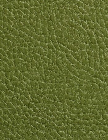 OLIVE G8