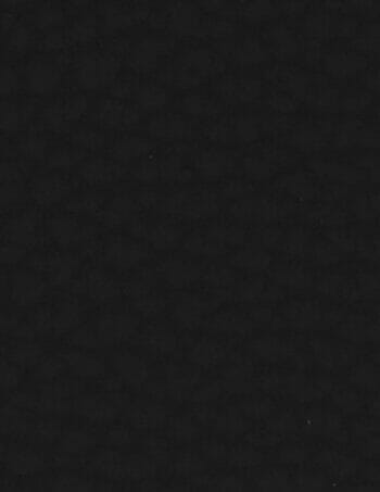PEBBLE BLACK N1