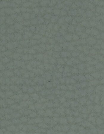 SAGE GREEN N6