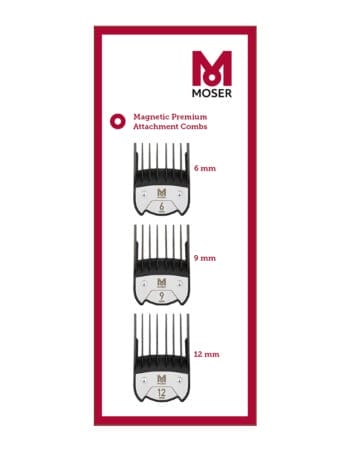 SET MAGNETNIH ČEŠLJIĆA